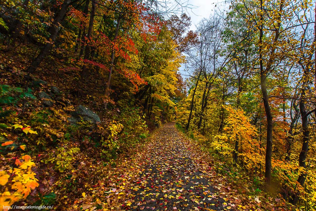 mohonk preserve undercliff road